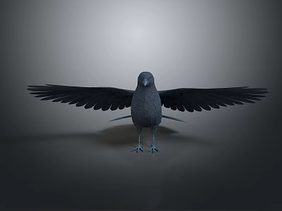 Black bird standing with spread wings against gray background setting 3d model