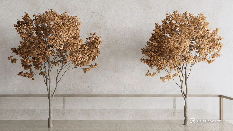 Two Golden Leaf Trees with Slender Trunks Against Light Gray Wall and Gray Floor 3d model 
