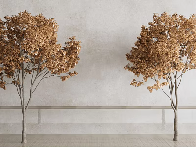 Two Golden Leaf Trees with Slender Trunks Against Light Gray Wall and Gray Floor 3d model