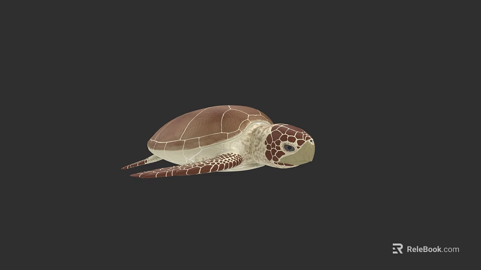 Brown Shell Sea Turtle With Intricate Pattern On Head And Flippers 3d model 