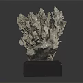 Elegant Coral Shaped Sculpture Decorative Display On Black Square Home Decor Base