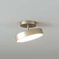 Modern Minimalist Ceiling Lights With Different Shapes And Metal Frame Design 3d model