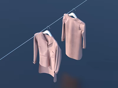 Two Pink Clothes Hanging on a Clothesline with White Hangers and Dark Blue Backdrop 3d model