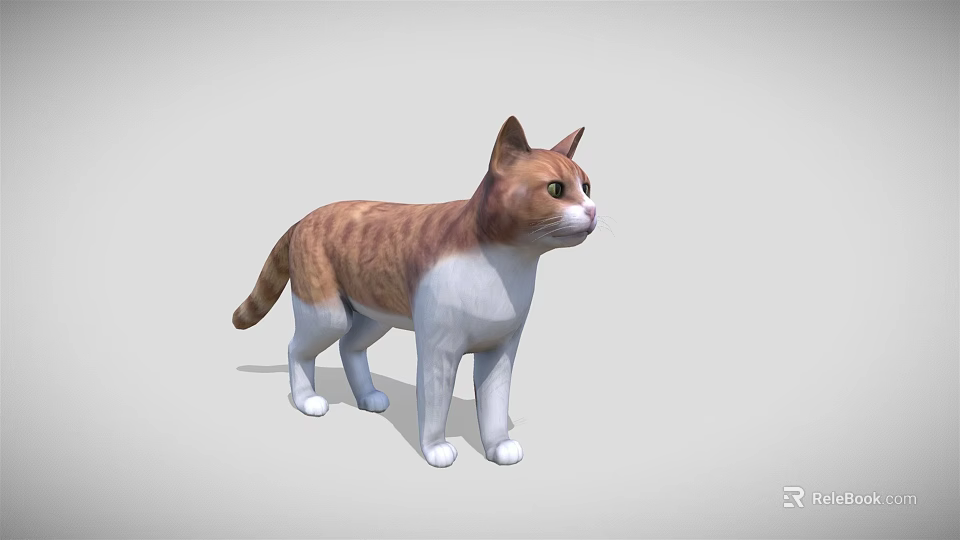 Detailed 3D Model of Brown and White Cat in Standing Pose with Gray Background 3d model 