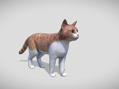 Detailed 3D Model of Brown and White Cat in Standing Pose with Gray Background 3d model