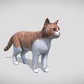Detailed 3D Model of Brown and White Cat in Standing Pose with Gray Background