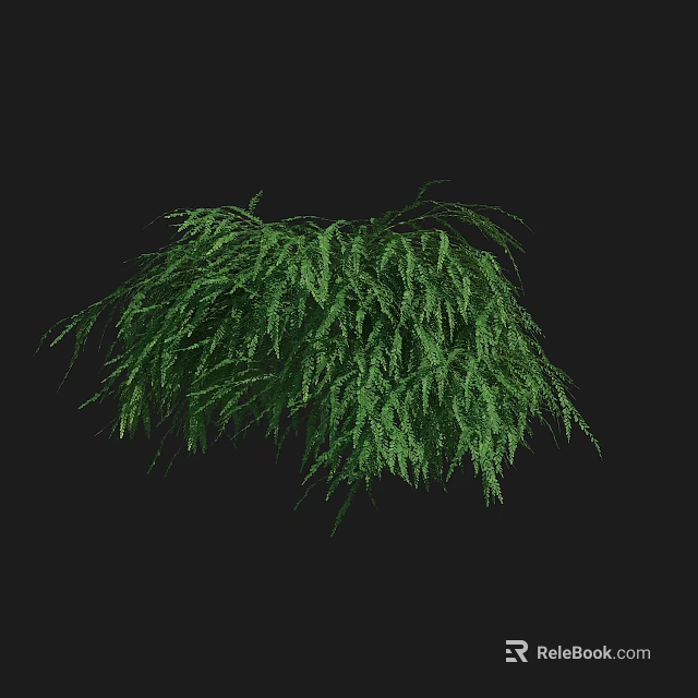 Dense Evergreen Shrub With Lush Green Foliage For Garden Landscaping Design 3d model 