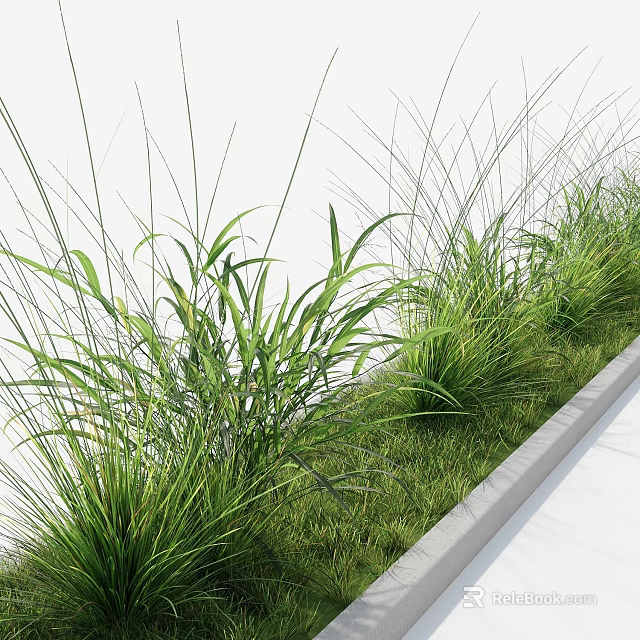 Modern Vertical Living Green Wall Design With Lush Foliage And Natural Plant Arrangement 3d model 