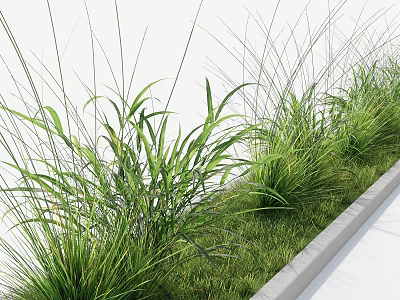 Modern Vertical Living Green Wall Design With Lush Foliage And Natural Plant Arrangement 3d model