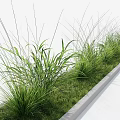 Modern Vertical Living Green Wall Design With Lush Foliage And Natural Plant Arrangement