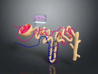 3D Illustration of Brain Neurons with Blood Vessels and Cellular Structures 3d model