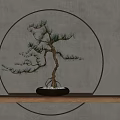 Elegant Bonsai Plant On Wooden Shelf With Dark Pot White Pebbles And Circular Illuminated Background
