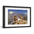 Mountain Landscape Painting With Three Rams On Rocky Cliff And Snow Capped Peaks