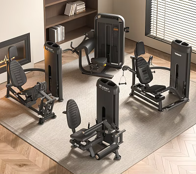 Modern Home Gym Setup With Various Fitness Equipment And Training Machines 3d model