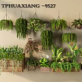 Various Hanging Green Plants with Different Foliage and Wooden Planters for Indoor Decoration