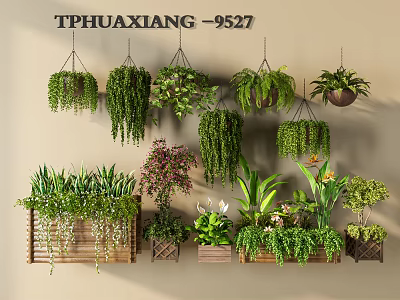 Various Hanging Green Plants with Different Foliage and Wooden Planters for Indoor Decoration 3d model