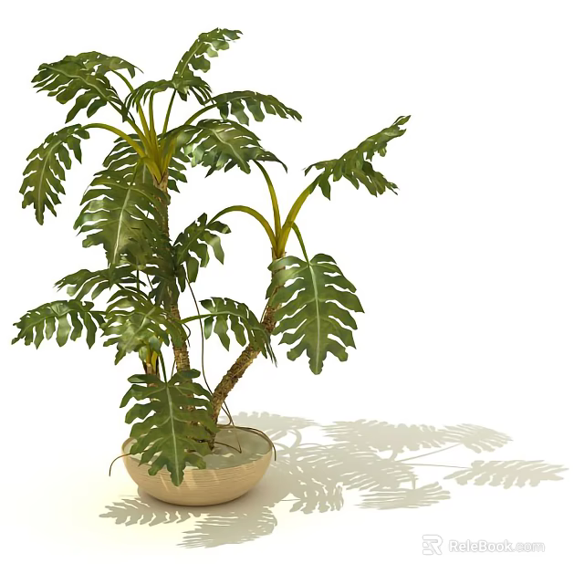 Indoor Potted Plant With Large Green Leaves In Ceramic Pot For Decoration 3d model 