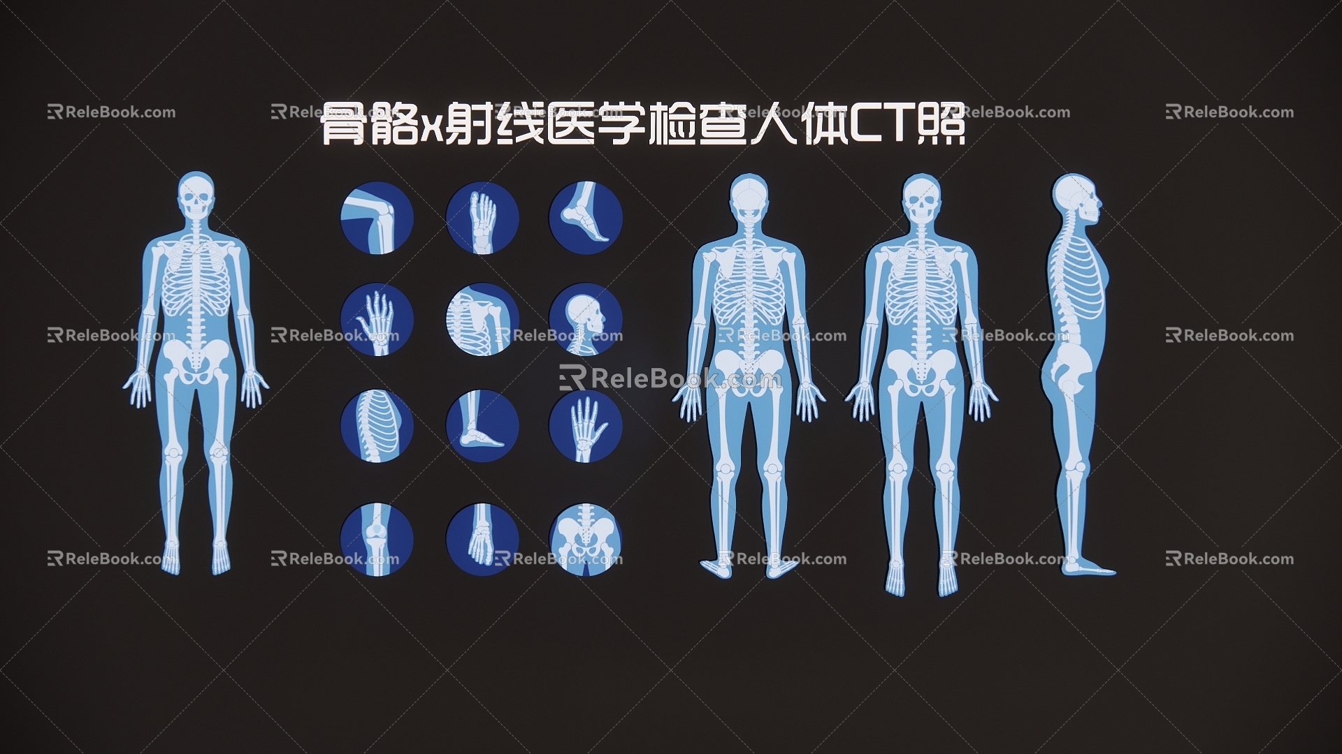 Modern 2D Skeleton X-Ray Medical Examination Human Body CT Photo Silhouette 3d model