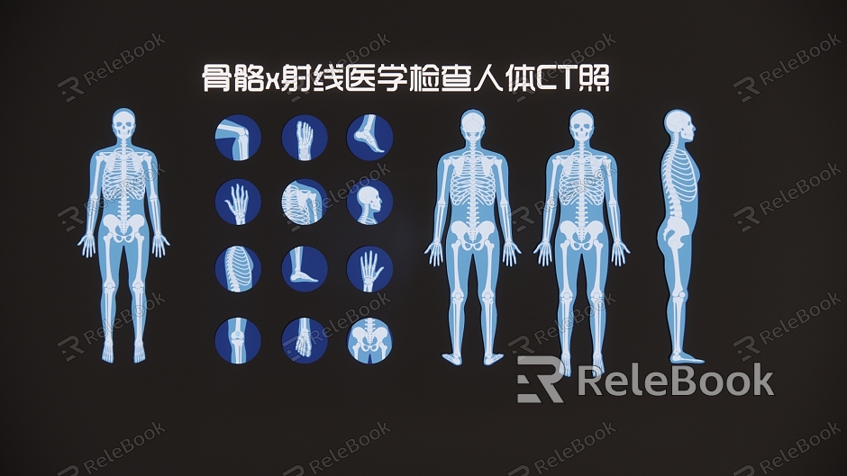 Modern 2D Skeleton X-Ray Medical Examination Human Body CT Photo Silhouette model