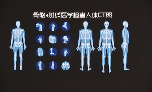 Modern 2D Skeleton X-Ray Medical Examination Human Body CT Photo Silhouette 3d model