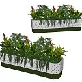 Colorful Bonsai Potted Plants in Rectangular White Dotted Containers with Green Edges and Mixed Greenery