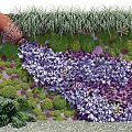 Living Green Plant Wall With Various Greenery Purple Flowers And Lush Foliage