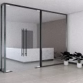 Modern Interior Featuring Black Frame Glass Sliding Doors White Walls Green Plants Light Flooring