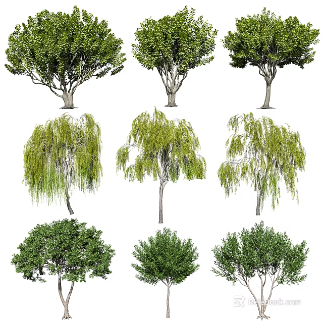 Various Arbor Trees With Weeping Willow And Round Crown Shapes And Green Foliage For Landscaping 3d model 