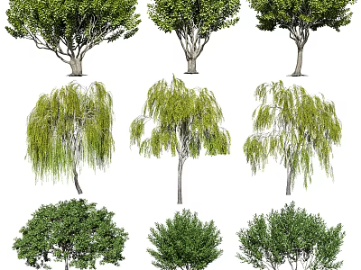Various Arbor Trees With Weeping Willow And Round Crown Shapes And Green Foliage For Landscaping 3d model