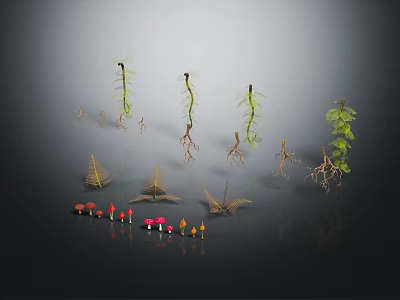 Different Plants Featuring Seedlings Roots Leaves And Colorful Mushrooms 3d model