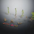 Different Plants Featuring Seedlings Roots Leaves And Colorful Mushrooms