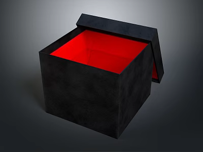 Stylish Black Household Storage Box With Open Lid And Red Interior 3d model