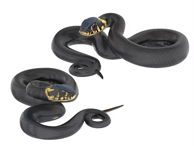 Black Reptile Snake With Blue Gold Head Coiled Body In White Background 3d model