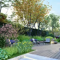 Courtyard Garden With Lush Green Plants Trees Flowers And Wooden Deck Chairs