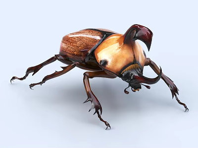Brown Beige Reptile With Horned Head Scaly Body Standing On White Background 3d model
