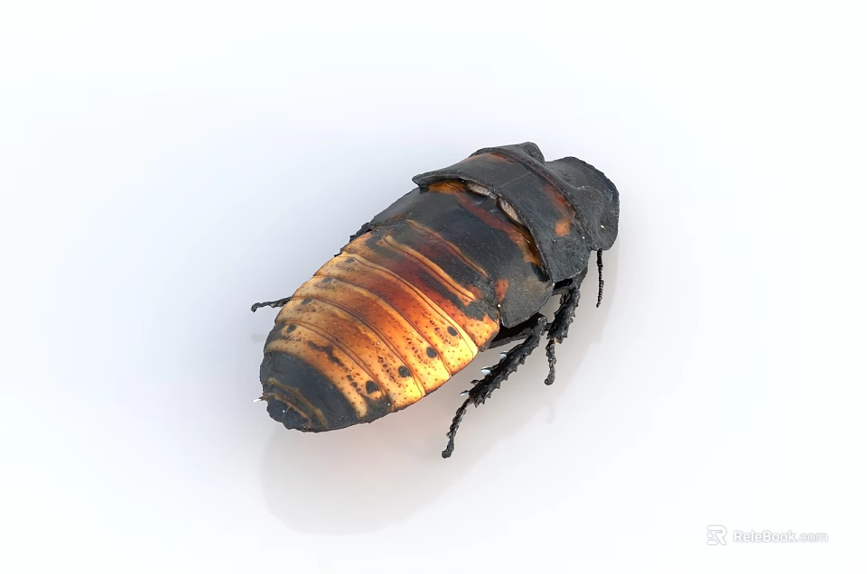 Shiny Dark Brown And Orange Striped Reptile On White Background Side View 3d model 