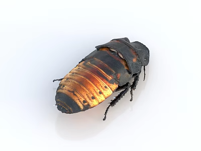 Shiny Dark Brown And Orange Striped Reptile On White Background Side View 3d model