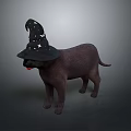Adorable Brown Dog Wearing Black Wizard Hat With Star Patterns On Dark Background 3d model