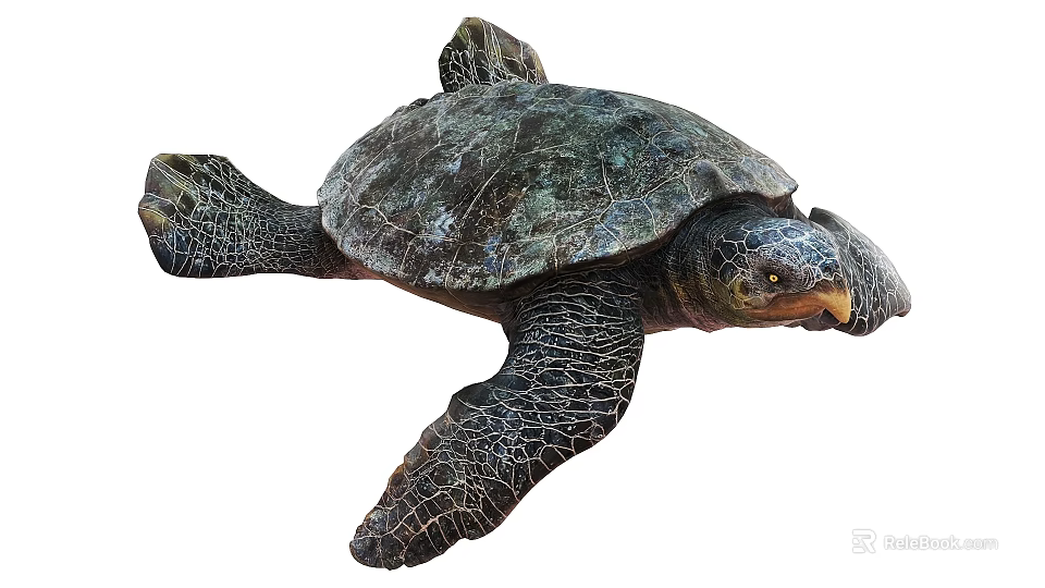 Swimming Sea Turtle With Dark Textured Shell And Webbed Flippers In Ocean 3d model 