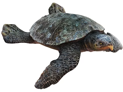 Swimming Sea Turtle With Dark Textured Shell And Webbed Flippers In Ocean 3d model