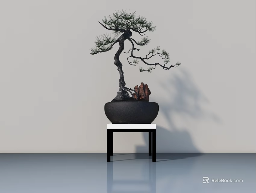 Bonsai Tree With Twisted Trunk Green Leaves In Black Pot On Small Table Light Wall 3d model 