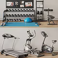 Essential Sports Equipment Including Dumbbells Exercise Ball Yoga Mat Treadmill And Elliptical Trainer