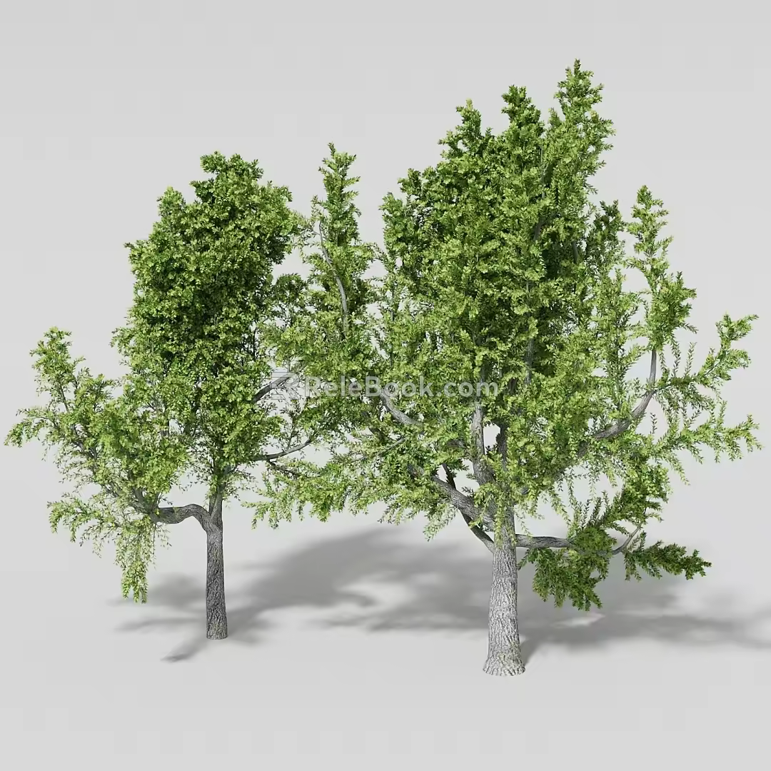 tree plant 3d model