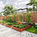 Wooden Fence Enclosed Garden Landscape With Raised Planter Boxes Vegetables Stone Path And Lawn