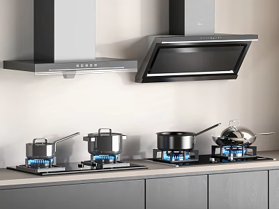 Modern Kitchen Appliances Gas Stoves With Pans And Range Hoods In Contemporary Design 3d model
