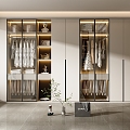 Modern wardrobe wardrobe combination 3d model