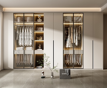 Modern wardrobe combination 3d model