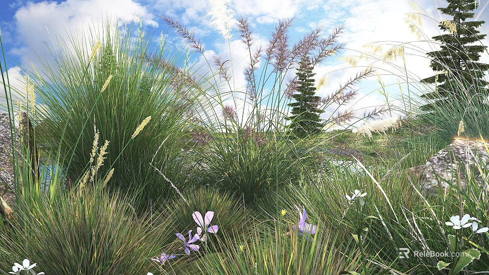 Beautiful Garden Flowers And Grasses With Purple Blooms White Petals And Green Foliage 3d model 