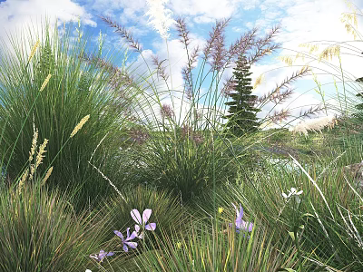 Beautiful Garden Flowers And Grasses With Purple Blooms White Petals And Green Foliage 3d model