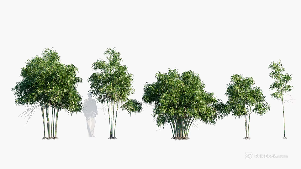 Different Tree Varieties For Landscaping With Various Heights And Foliage 3d model